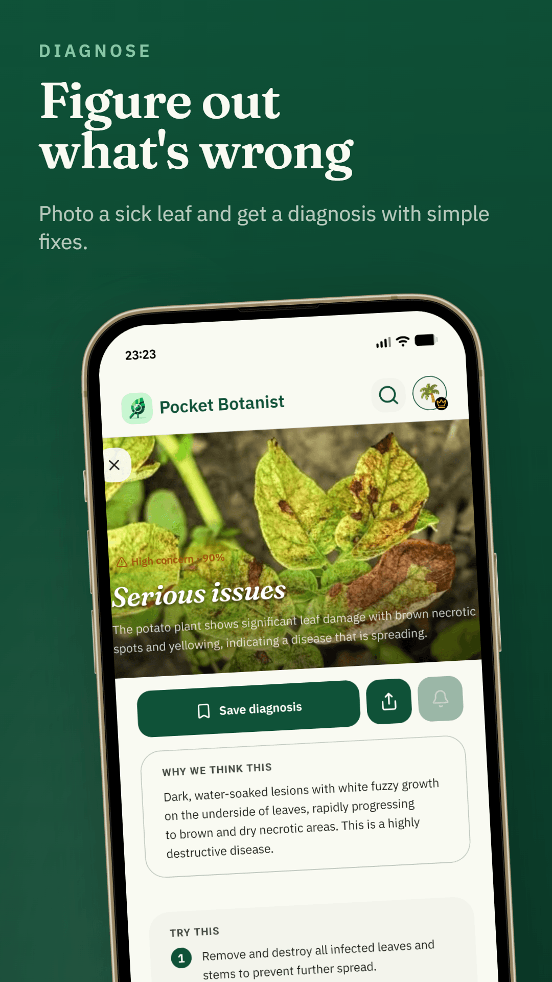 Plant diagnosis