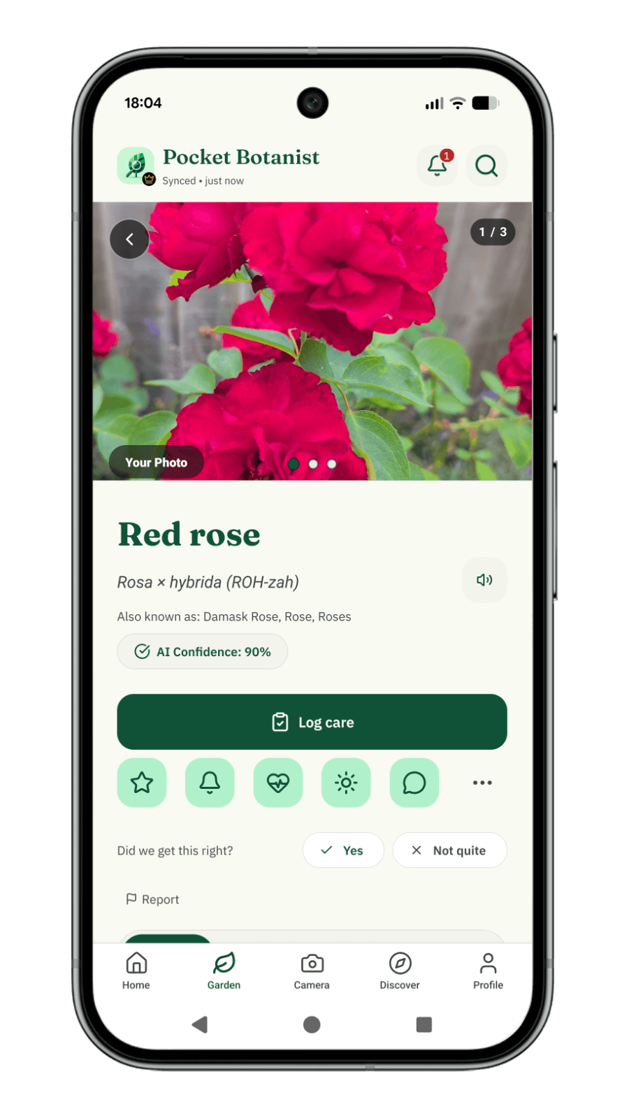 Pocket Botanist screenshot showing a plant identification result
