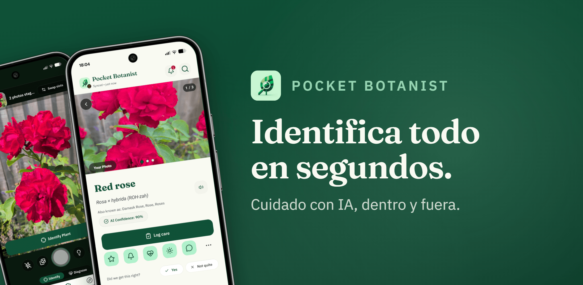 Pocket Botanist mostrando el resultado de la identificación de una rosa roja