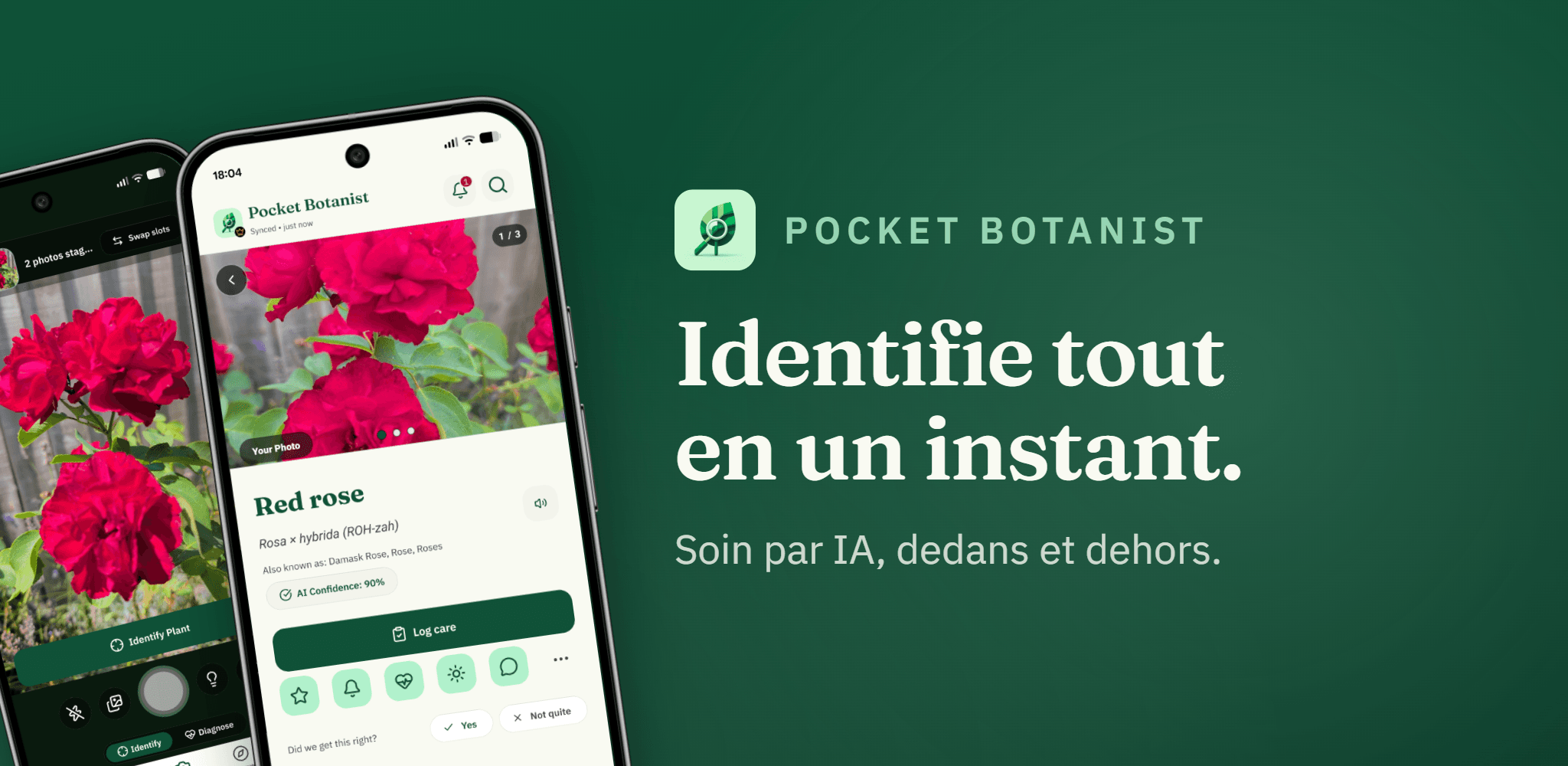 Pocket Botanist affichant le résultat d'identification d'une rose rouge