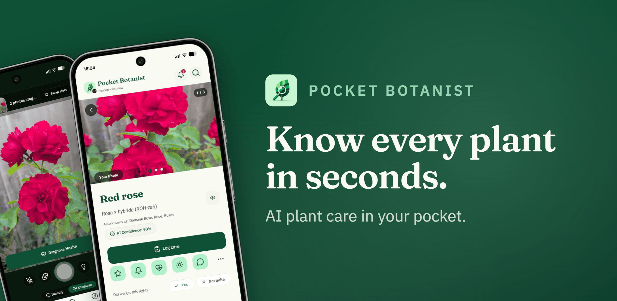 Pocket Botanist showing a plant identification result for a red rose