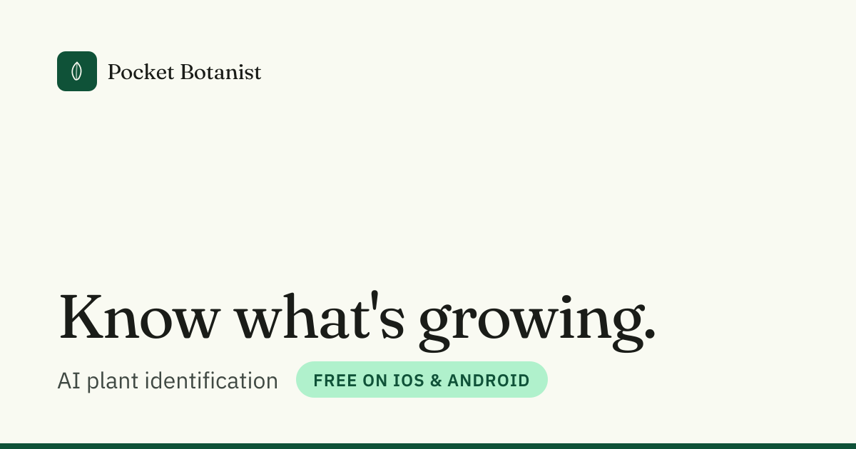Plants dropping leaves: causes and fixes · Pocket Botanist