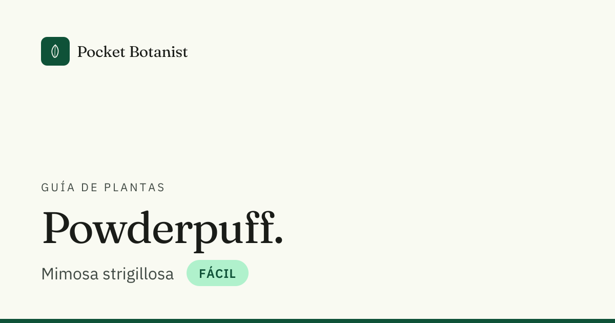 Powderpuff: hojas amarillas, causas y soluciones
